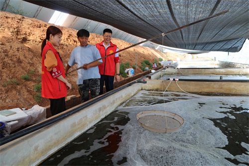 盐池县税务局：税收助力螺旋藻产业高质量发展