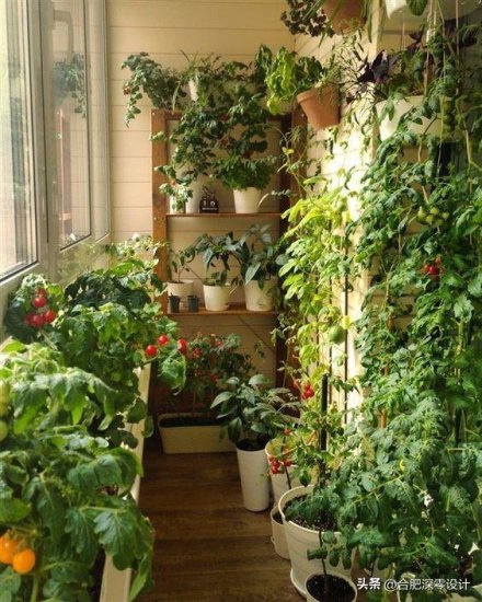 <em>阳台</em>改做小花园，如今成了更多人的选择，用来养花种菜自得其乐
