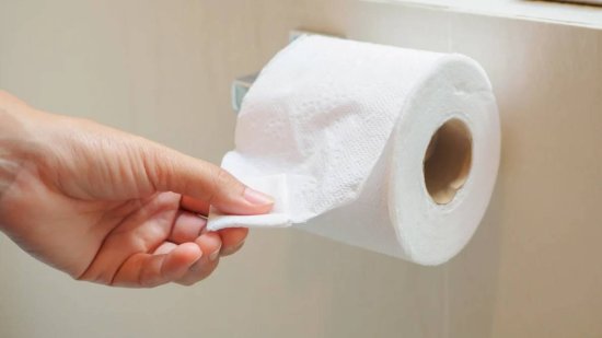 手纸发明以前，人类上<em>厕所用什么</em>？五花八门，还有用石头的
