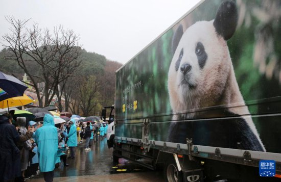大熊猫有“超能力”！翻开中国国宝的“世界影集”