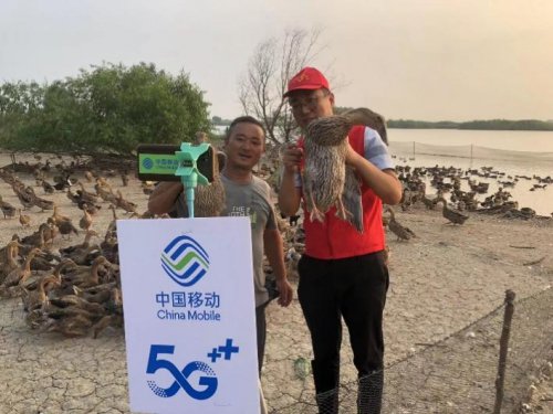 江河湖海5G全覆盖，江苏移动好网络赋能“水运江苏”