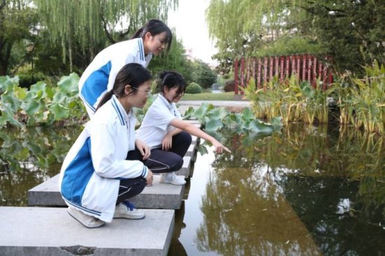 衢州一名学生在校园池塘里发现“水中大熊猫”桃花水母