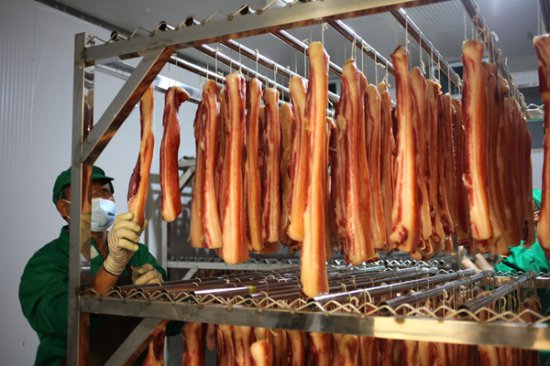 德保“三链”同构推动黑猪产业高质量发展