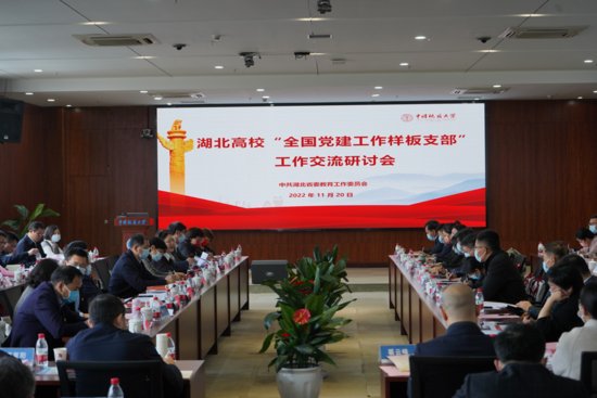 在汉高校党支部“双创”工作交流研讨会在中国地质大学召开