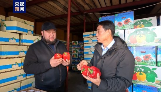 “中国味道”出口热！<em>新疆</em>霍尔果斯口岸果蔬出口迎今年首个高峰