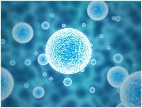 贵州干细胞能治疗男性<em>勃起</em>功能障碍吗，干细胞治疗ED的作用机制