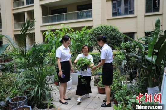 <em>成都</em>一小区提供“植物寄养”服务 为居民免费养护盆栽