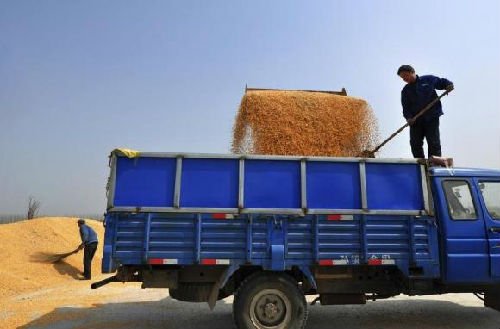 中国农产品价格下跌或影响全球价格
