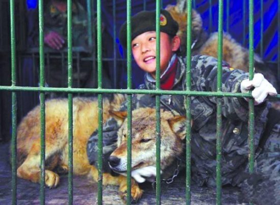 中国“最狠心”的父亲，让女儿跟狼一起长大，还住在笼子里，...