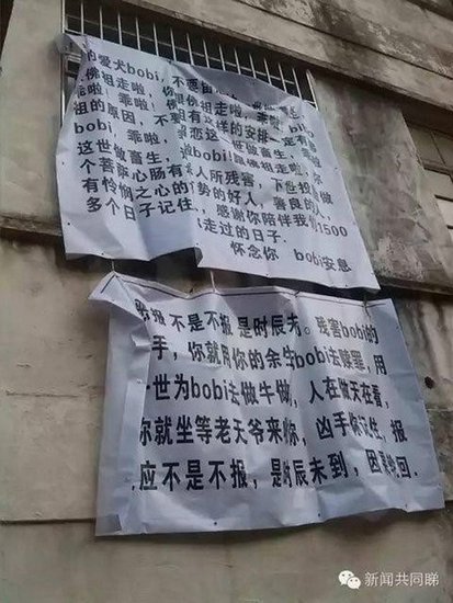 广东/广东女子工业园内摆数十花圈悼念被打死爱犬