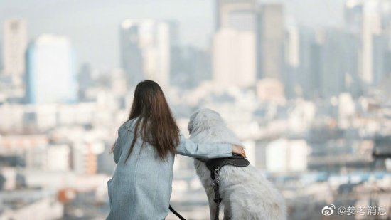 美国研究人员发现狗是女人<em>最好</em>的朋友