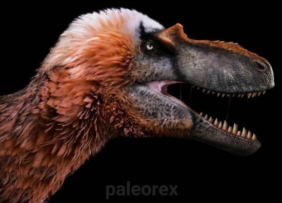 50张<em>活</em>久未见<em>的恐龙</em>照片，史前动物的实际样子，你见过几个？