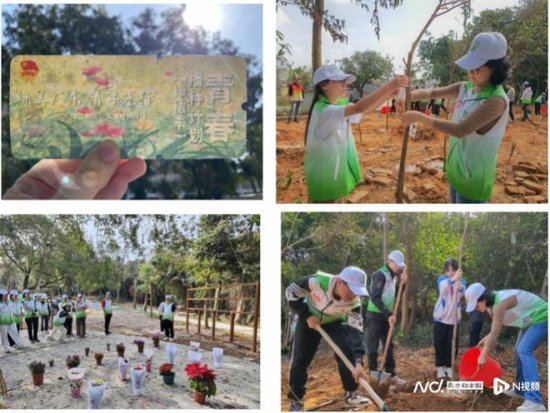 “绿美青年林”<em>小程序</em>上线，广东3万棵树苗有了“守护者”