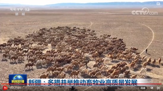 新疆：多措并举推动畜牧业高质量发展