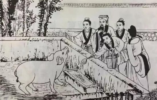 陪伴了中国人上千年的<em>猪</em>，是一部“活历史”