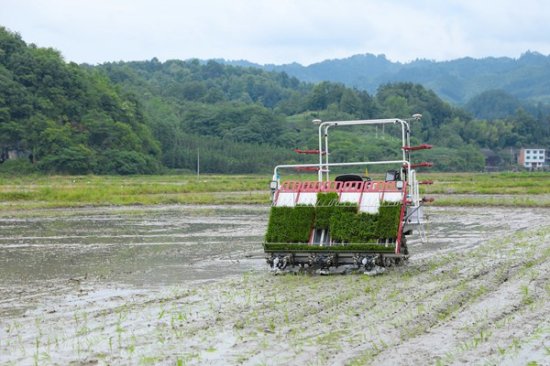 贵州省<em>第一个水稻</em>“无人农场”在剑河县南明大坝启动