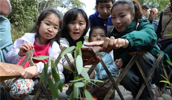 各地学生在云南西双版纳开启研学游“奇妙之旅”