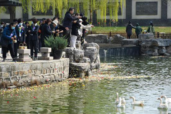 更多中国民众选择生态葬 让生命“终归”自然