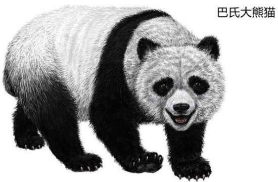 大熊猫起源于欧洲？匈牙利发现千万年前熊猫化石，真是熊猫<em>祖先</em>...