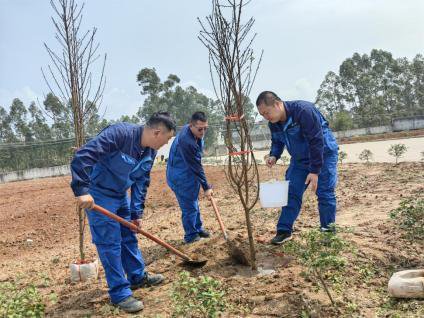 <em>中交</em>一航局一公司防城港项目部开展植树节活动
