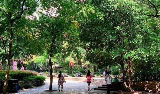 玩转上海：人民公园是上海最值得逛的网红公园，最大的特色就是...
