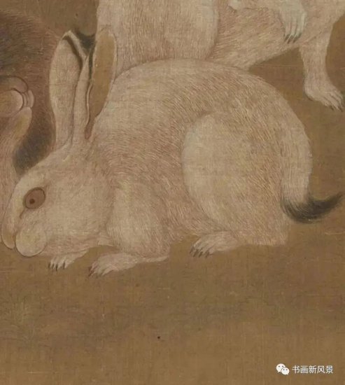 三个兔<em>是什么字</em>？