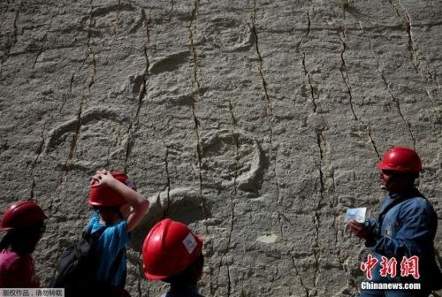 法媒称考古学家发现最大恐龙脚：足骨宽约一米