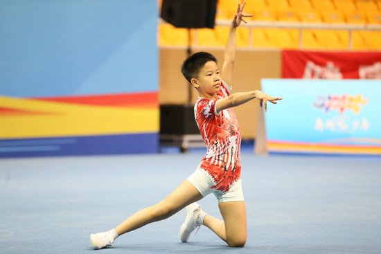 <em>健康</em>美丽 青春无限 北京市体育传统学校健美操比赛举办