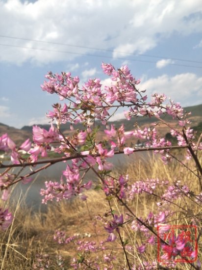 视图｜带你空中俯瞰康养胜地姜州花湖之美