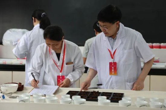 新一届茶王诞生，福安市第十七届“坦洋工夫”杯斗茶赛顺利举行