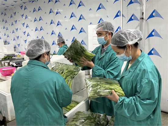 江西自然之星农业科技有限公司开展职工包装技术技能竞赛