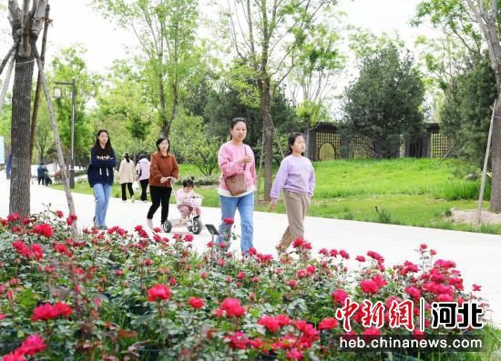 河北<em>定州</em>第二届月季文化旅游周开幕