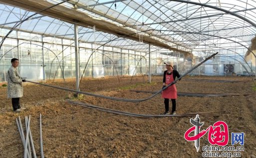 安徽肥东：绘出一幅春耕生产增收图