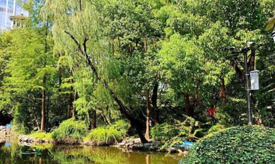 玩转上海：人民公园是上海最值得逛的网红公园，最大的特色就是...