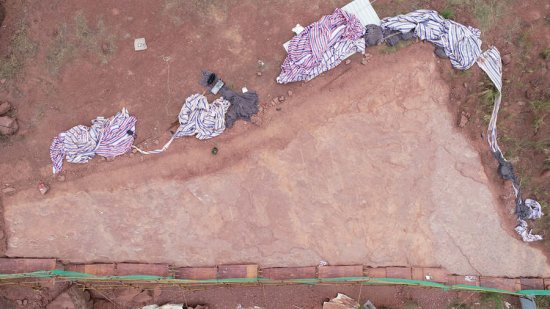 福建上杭发现“恐龙舞池”：<em>100平方米</em>集中200枚恐龙足迹