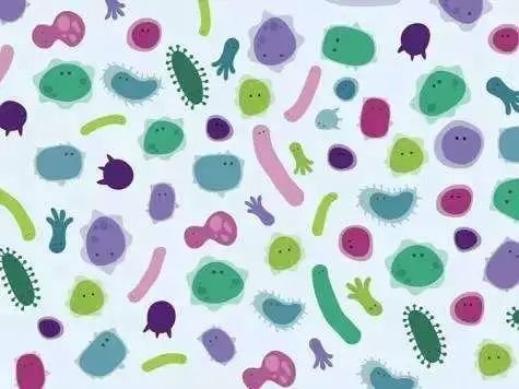 <em>小肠</em>细菌过度生长是<em>怎么</em>回事？是什么原因造成的？