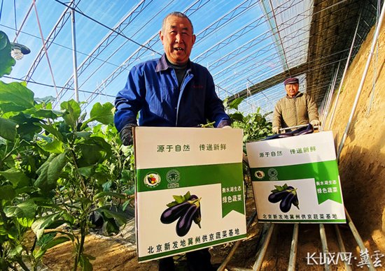 衡水着力打造京津冀绿色农产品基地