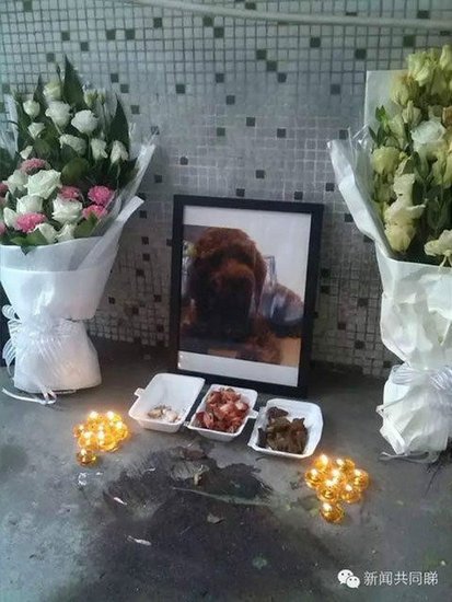 广东/广东女子工业园内摆数十花圈悼念被打死爱犬