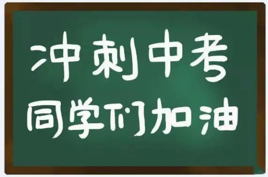 广东省深圳市2013年语文中考试卷及答案解析