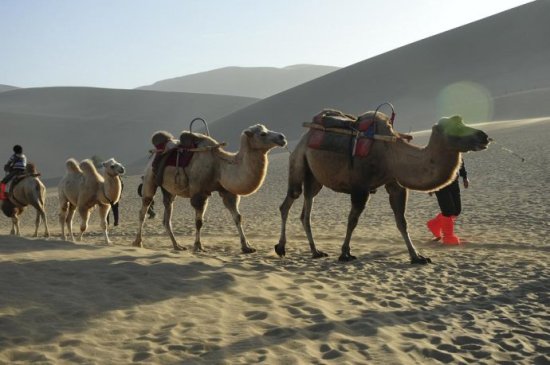 中国 鸣沙山/但遗憾的是因为时间的原因，没有骑骆驼进入腾格里沙漠。