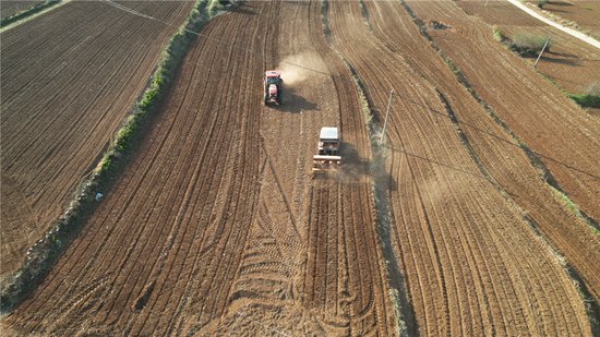 高平市加快推进40万亩玉米春播作业