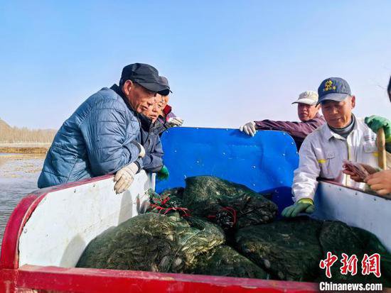 （乡村行·看振兴）<em>赤峰</em>林西县改良4200亩盐碱地 农民摇身变蟹民