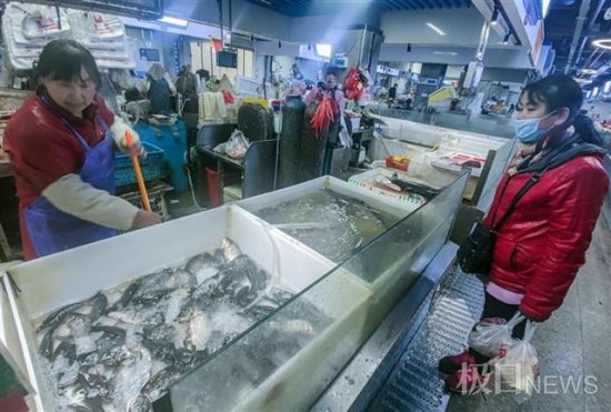 鳊鱼喜<em>头</em>鱼单价过十元， 春天时节市民吃鱼得多花钱了