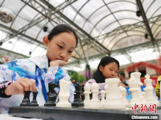 青海省象棋、围棋锦标赛及国际象棋少年<em>个人</em>冠军赛开赛