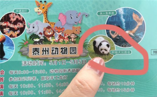 泰州动物园回应<em>松狮犬</em>假扮熊猫：是为了弥补园内动物种类的不足