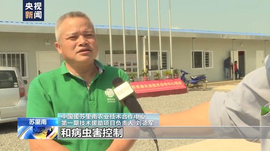 总台记者探访丨走进中国援苏里南农业技术合作中心