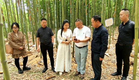 宜宾翠屏区：“政企研”合作 共促竹产业高质量发展