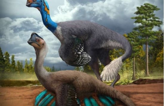 7000万年前，这只<em>恐龙死亡</em>时还在孵蛋，它的子孙如今还在进化