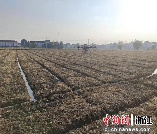 浙江省农发集团提升竞争力 打造一流现代化粮农产业集团