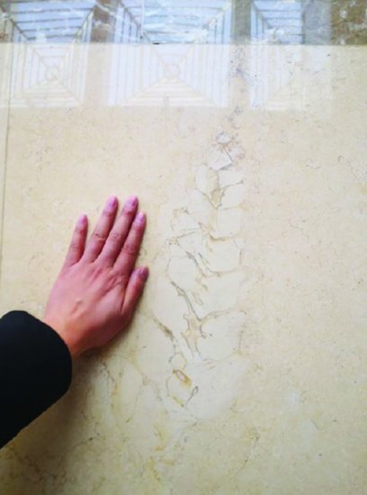 淮安市政<em>大厅地砖</em>藏着2000万年前化石切片 专家：并不罕见